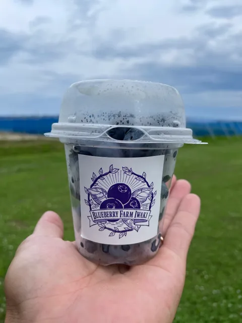 ブルーベリーファーム いわき