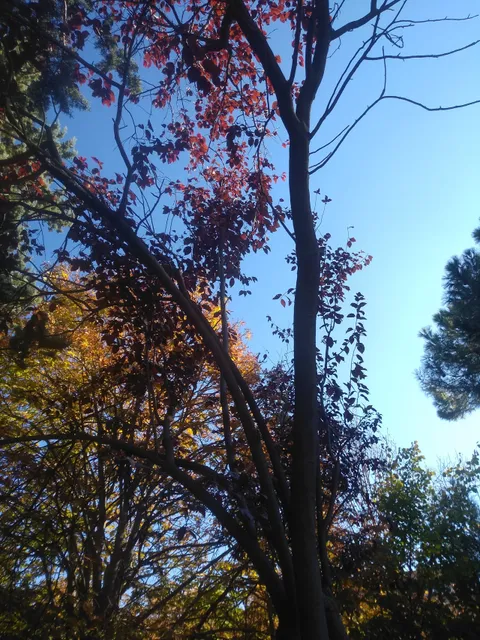 photo-2