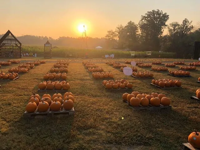 Kersey Valley Maize Adventure