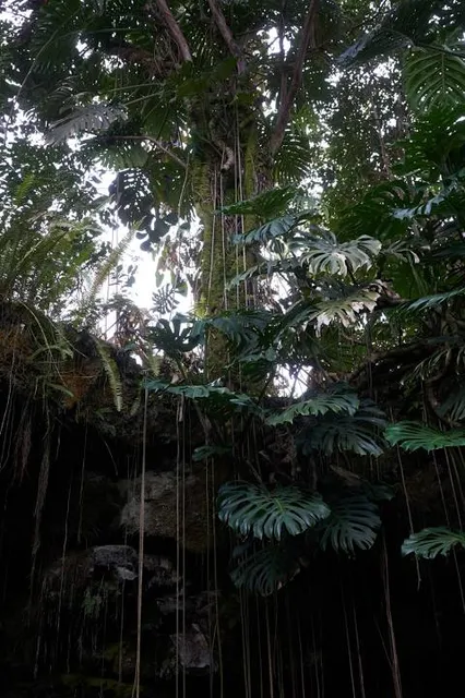 photo-3