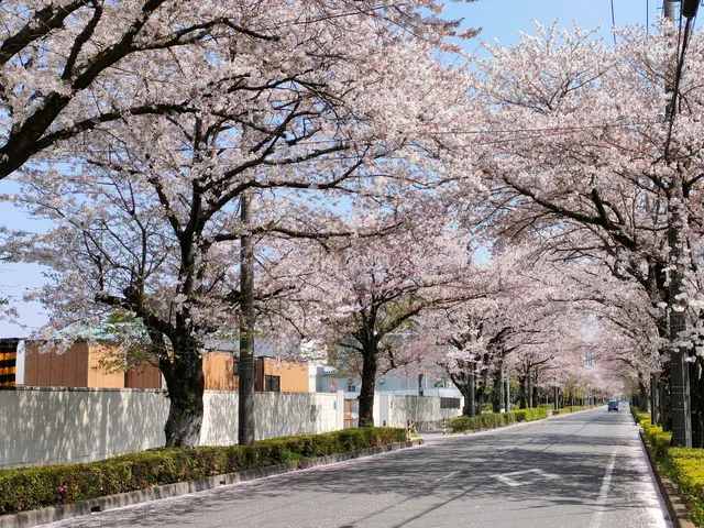 Kamiyoshiba Central Park