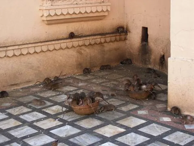 Shree Karni Mata Temple