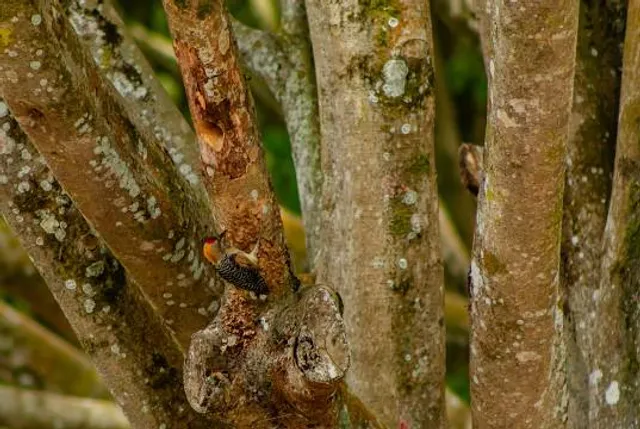 Sanjusankannonshiseki Park