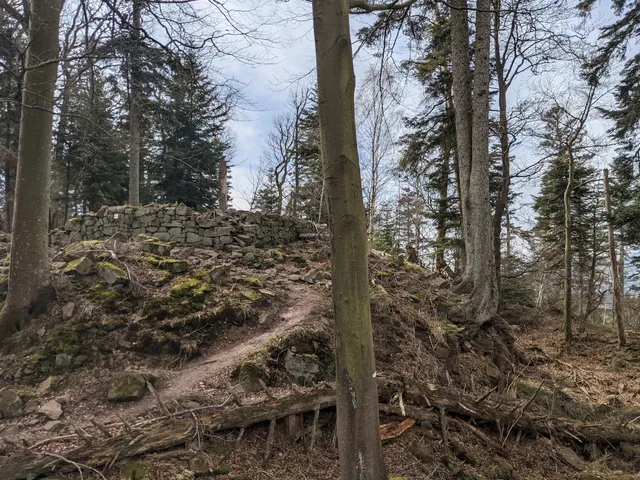 Château du Petit-Ringelstein
