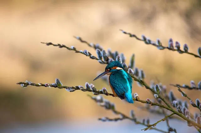 Stour Valley Nature Reserve