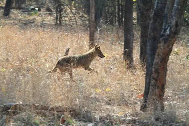 Moor-Erlebnispfad Resse