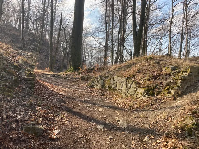 Zřícenina hradu Křídlo