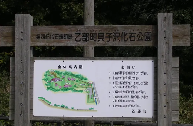 Kaikosawakaseki Park