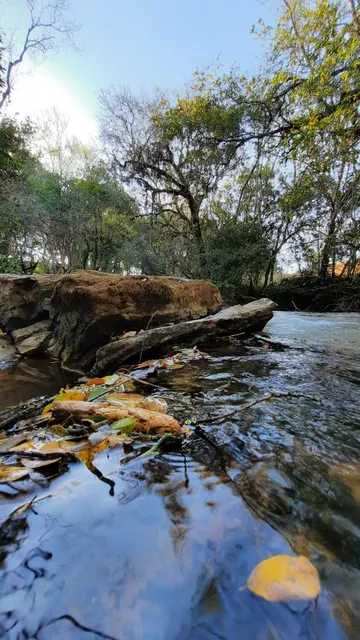 Cachoeira do gusto caipira