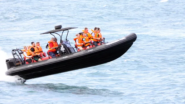 Boat rides - Freaking Fast Waverider