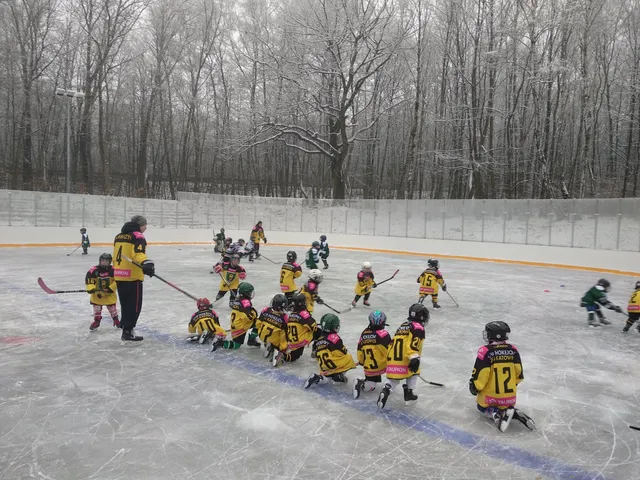 Park Murcki w Katowicach