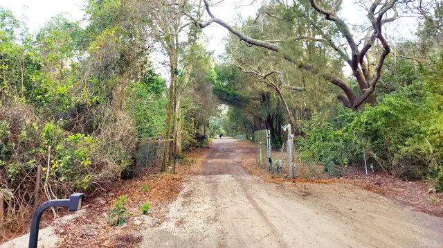 Gladys E. Douglas Preserve