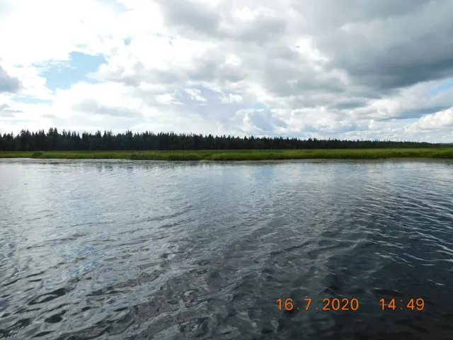 Natursafari i Abborrträsk