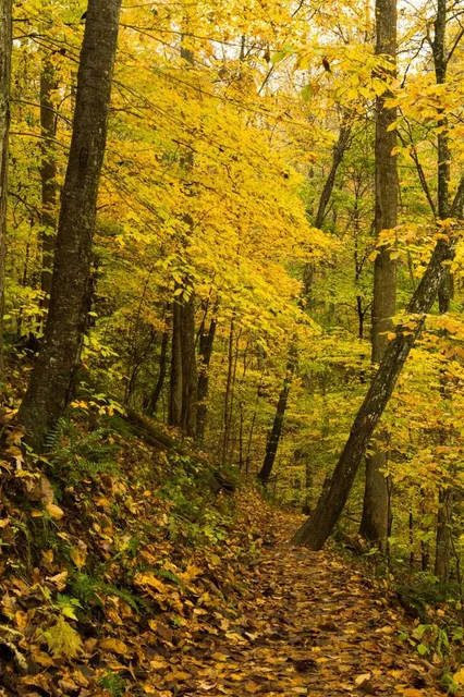Good Steward Nature Center & Planetarium