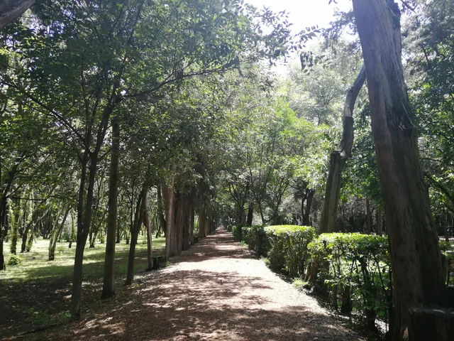 Viveros de Coyoacán