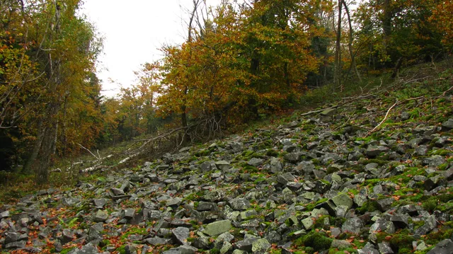 Rezerwat przyrody Małe Gołoborze