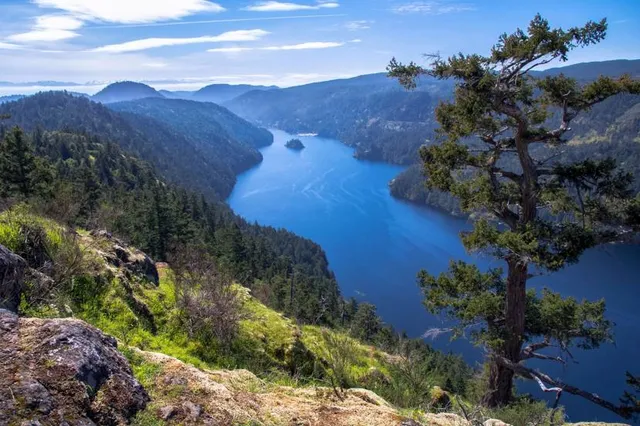 Coles Bay Regional Park