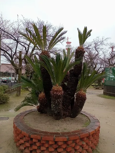 photo-1