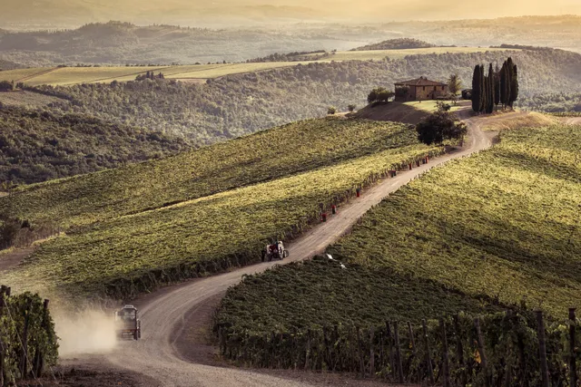 Castiglion del Bosco Winery