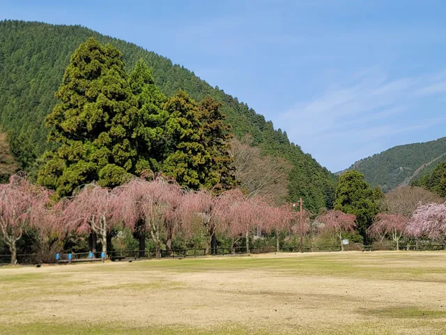 Takekurabe Park