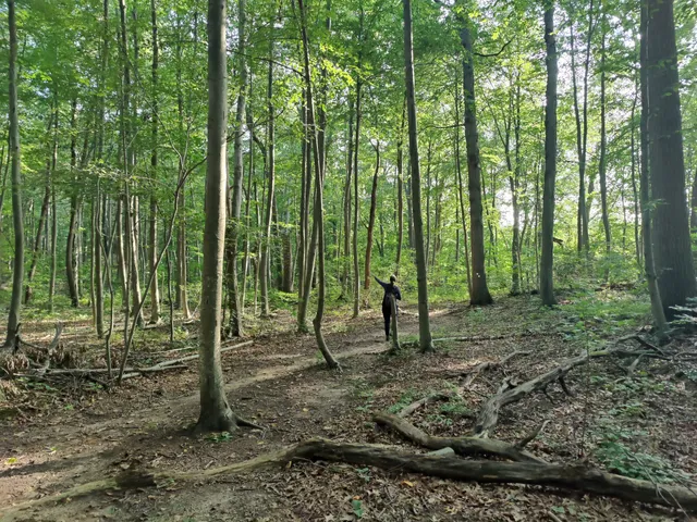 West Hills County Park