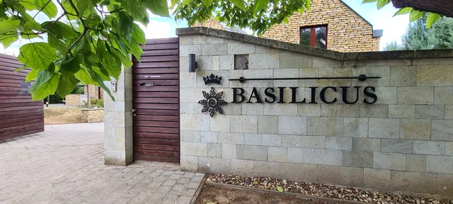 Basilicus Borkultúra Központ