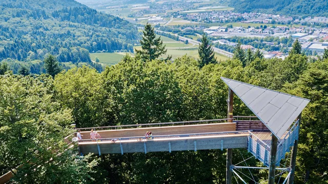 Baumkronenweg Waldkirch