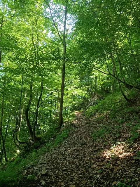 Sentiero delle cascate