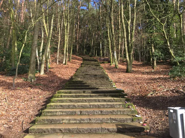 Waldauenweg Riesenbeck