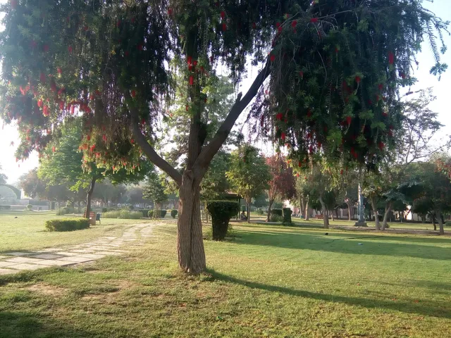 Papiha Tourist Resort