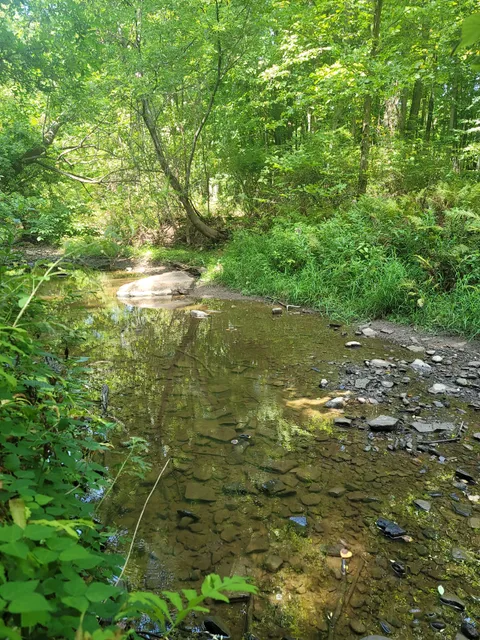 Four Mile Creek Preserve