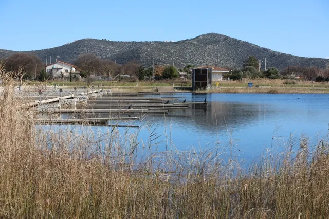 Olympic Rowing Centre Schinias