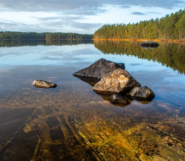 Stora Envätterns naturreservat