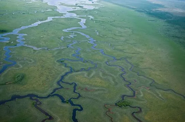 Skunk Creek Linear Park