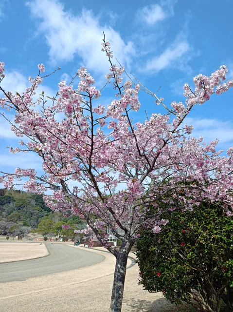 Hisamine General Park Multipurpose Plaza