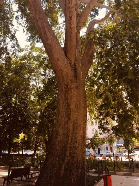 photo-1