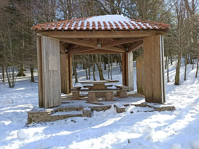 photo-2