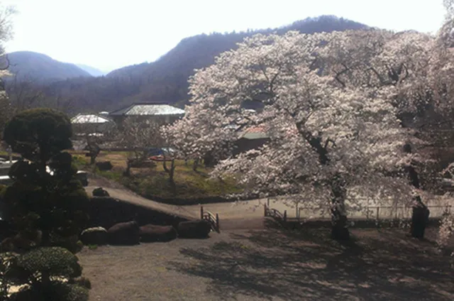 Myouenji Temple Yamanashi