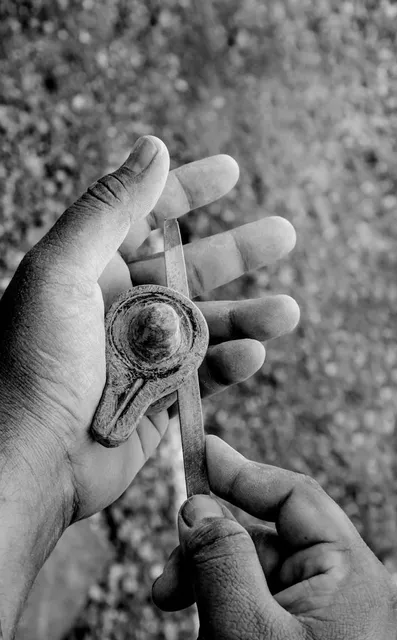 New Orleans Botanical Garden