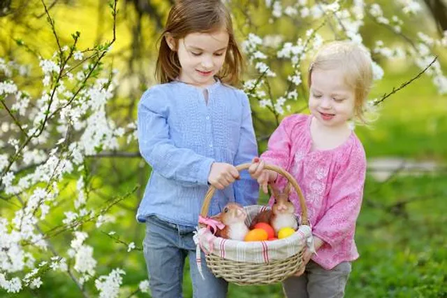 Friedrich-Maurer Park