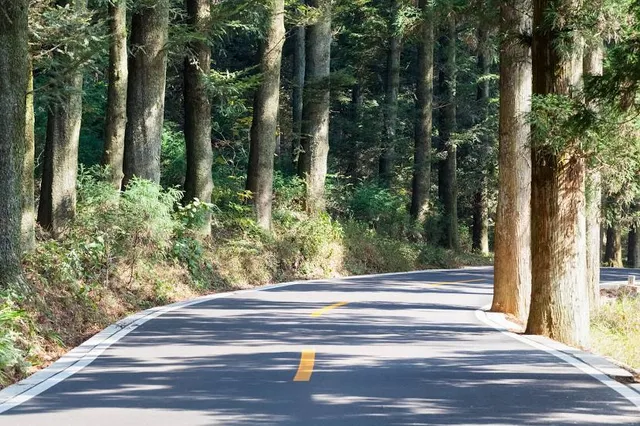 Lushan Botanical Garden