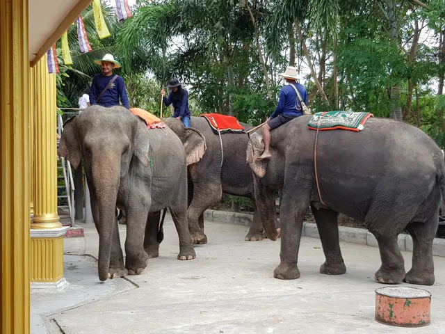 Hutsadin Elephant Foundation