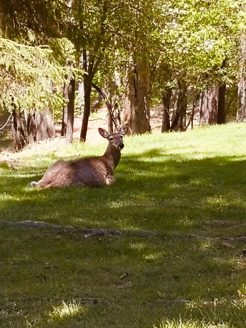Oglebay Park Wheeling, WV