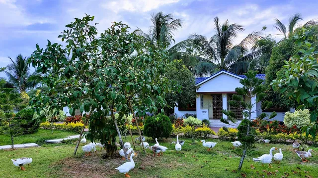 Mallickaa Resort Tajpur