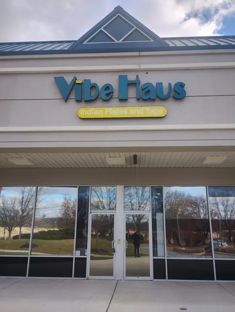 Vibe Haus - Indian Plates and Taps