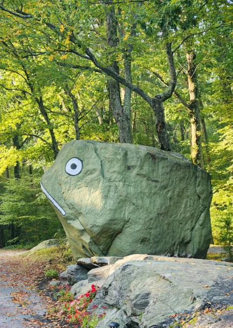 Frog Rock