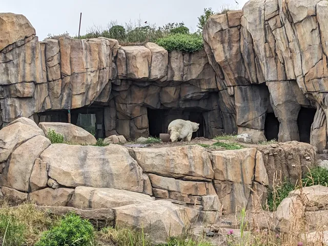 Walter Family Arctic Tundra