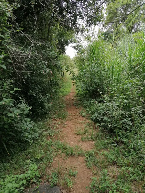 Nelspruit Private Nature Reserve