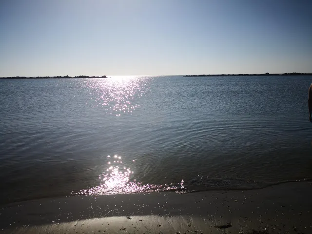 Bagno Delfinus Di Sara Bonazza