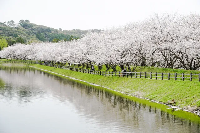 Tachioka natural park